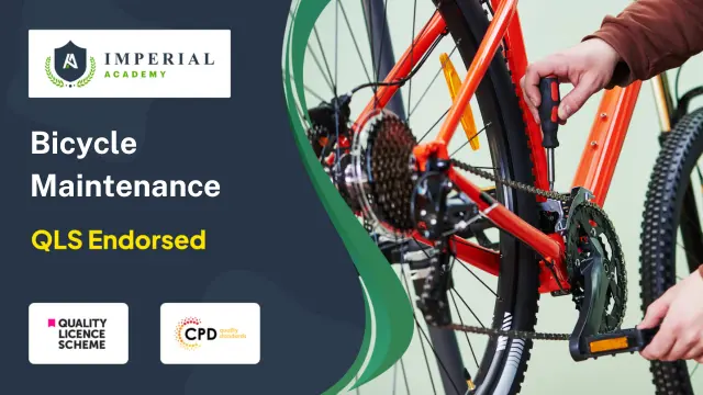 Level 3, 4, 5 Bicycle Maintenance Course