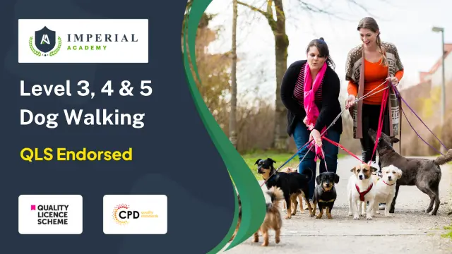 Level 3, 4 & 5 Dog Walking