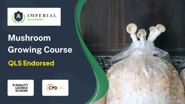 Level 2, 3 and 5 Mushroom Growing Course