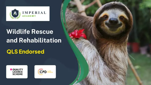Level 2, 3, 4 Wildlife Rescue and Rehabilitation
