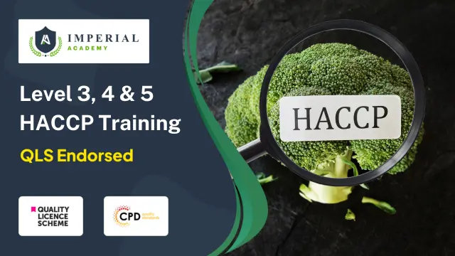 Level 3, 4 & 5 HACCP Training - Essential Bundle