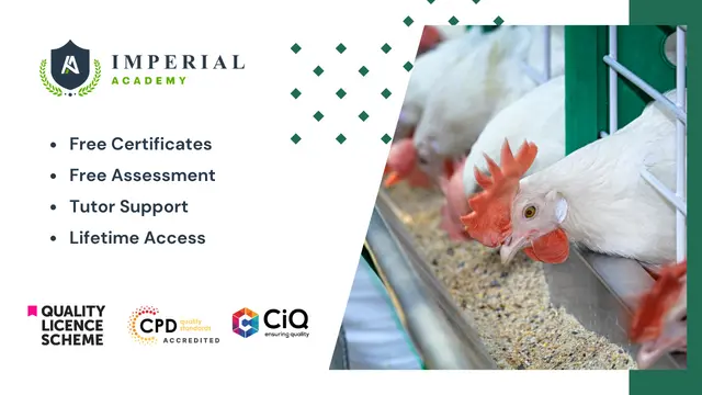 Level 3, 4, 5 Diploma in Poultry Farming