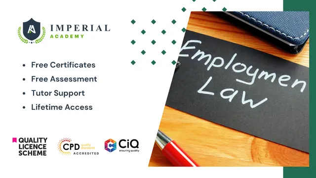 Level 3, 4, 5 Employment Law Consultant - Essential Bundle
