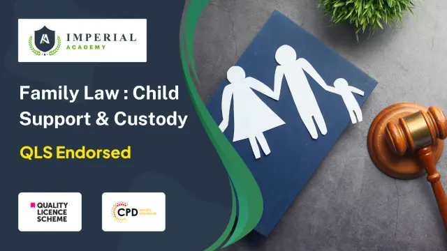 Level 3, 4 & 5 Family Law : Child Support & Custody