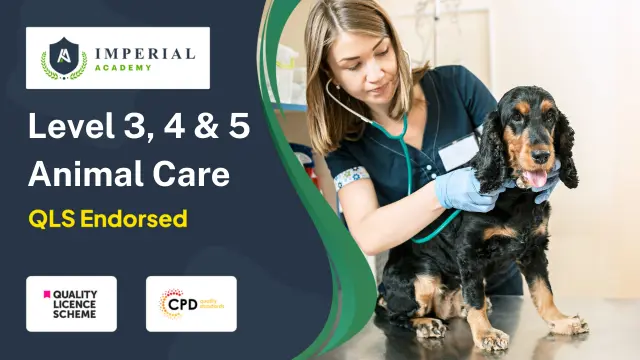 Level 3, 4 & 5 Animal Care