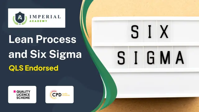 Level 2, 3 and 5 Lean Process and Six Sigma - Mega Bundle