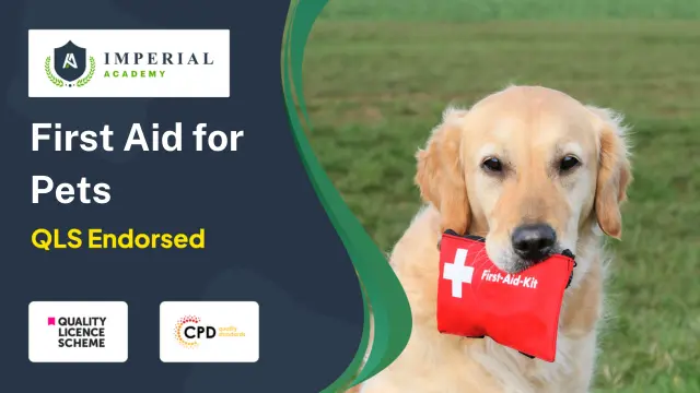 Level 3, 4, 5 First Aid for Pets