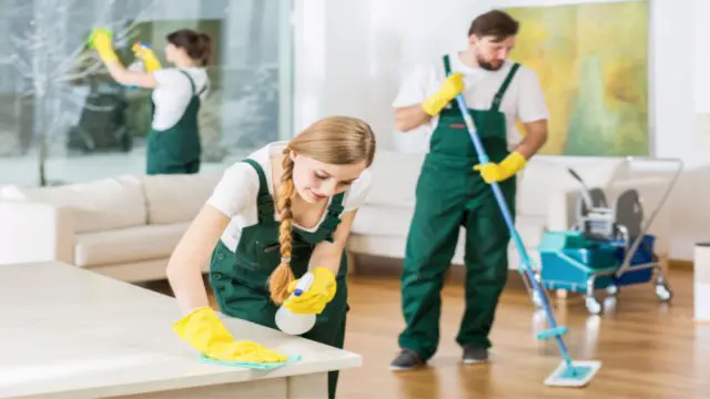 Level 5 British Cleaning Certificate Training - CPD Certified
