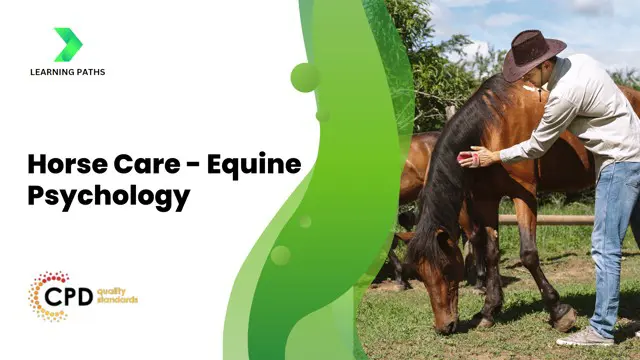 Horse Care - Equine Psychology 