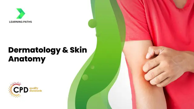 Dermatology & Skin Anatomy