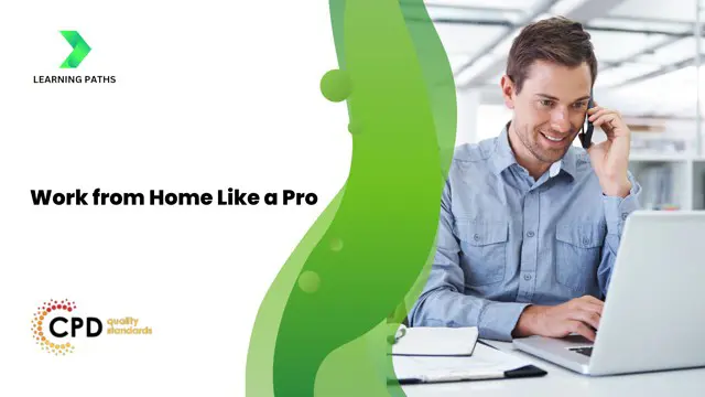 Work from Home Like a Pro