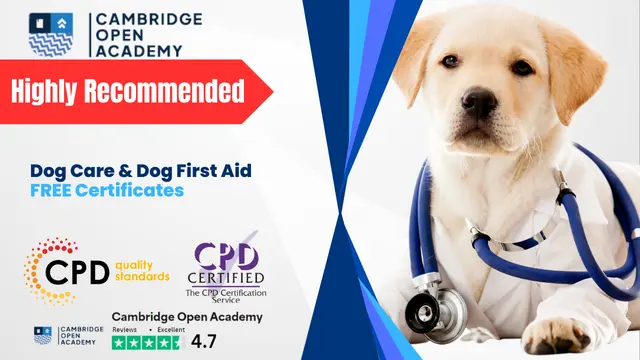 Dog Care & Dog First Aid - CPD Approved Training