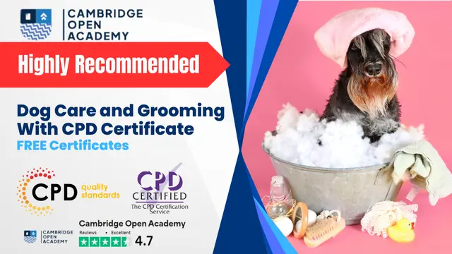 Dog Care and Grooming With CPD Certificate