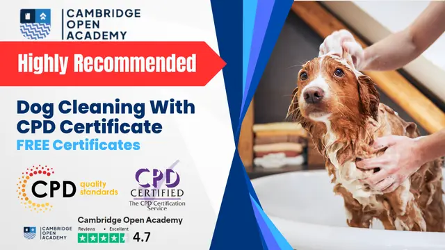 Dog Cleaning With CPD Certificate