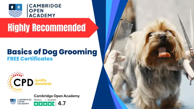 Basics of Dog Grooming With CPD Certificate