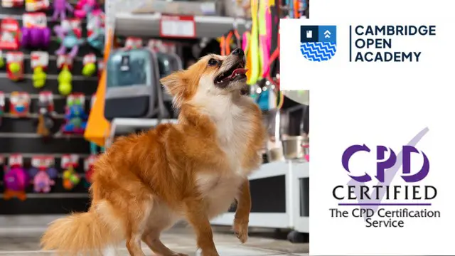 Pet Sitting, Dog Walking & First Aid for Pets - CPD Approved Training
