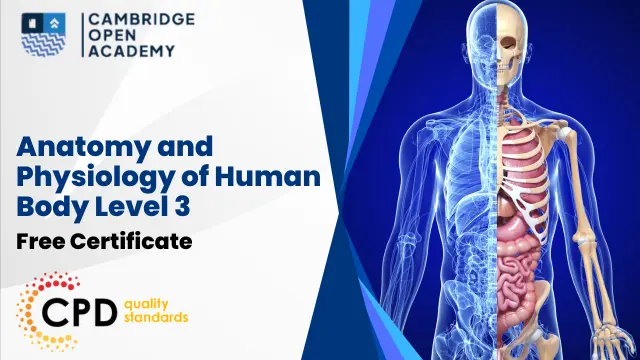 Anatomy and Physiology of Human Body Level 3 With CPD Certificate 