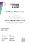 QLS Sample Certificate