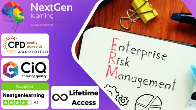 Enterprise Risk Management (ERM)