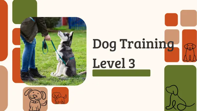 Dog Training Level 3