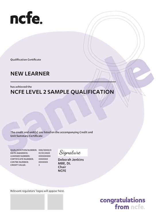 Online NCFE CACHE Level 3 Award In Supporting Teaching And Learning 