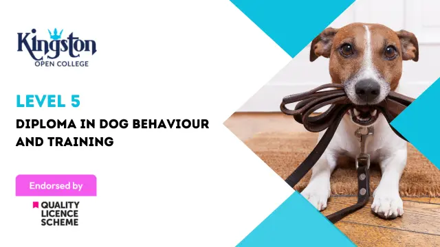 Level 5 Diploma in Dog Behaviour and Training  - QLS Endorsed