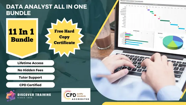 Data Analyst All in One Bundle