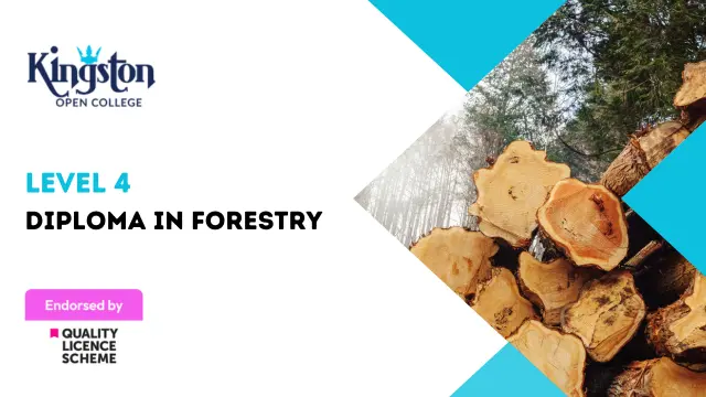Level 4 Diploma in Forestry - QLS Endorsed
