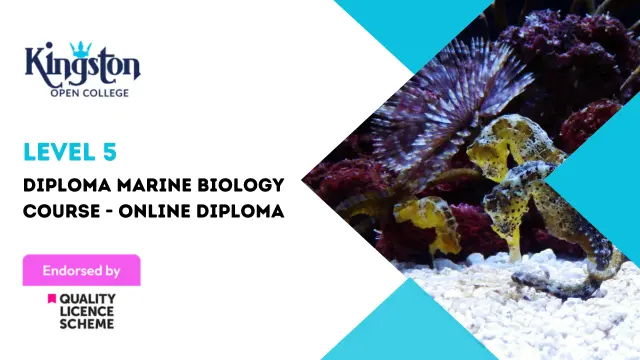 Level 5 Diploma Marine Biology Course - Online Diploma (QLS Endorsed)
