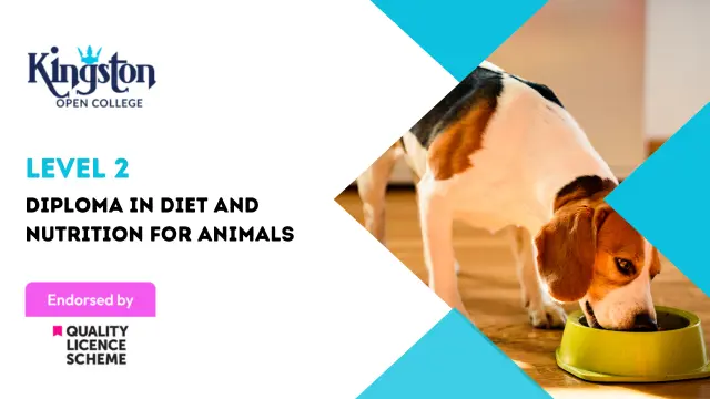 Level 2 Diploma in Diet and Nutrition for Animals - QLS Endorsed