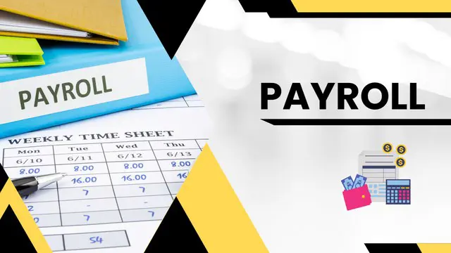Payroll Diploma (Level 5) - CPD Certified
