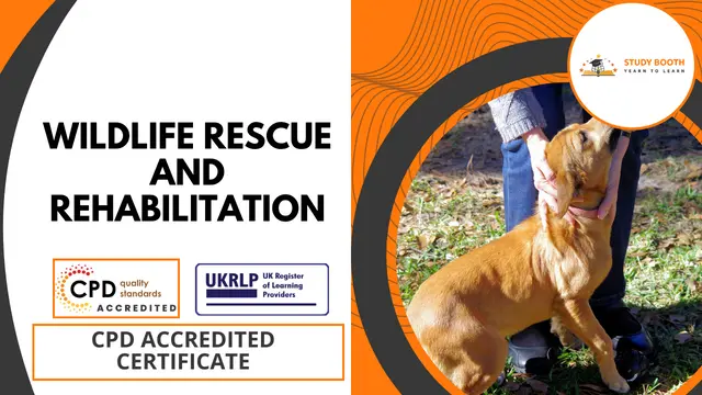 Wildlife Rescue and Rehabilitation (33-in-1 Bundle)