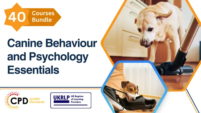 Canine Behaviour and Psychology Essentials (40-in-1 Bundle)