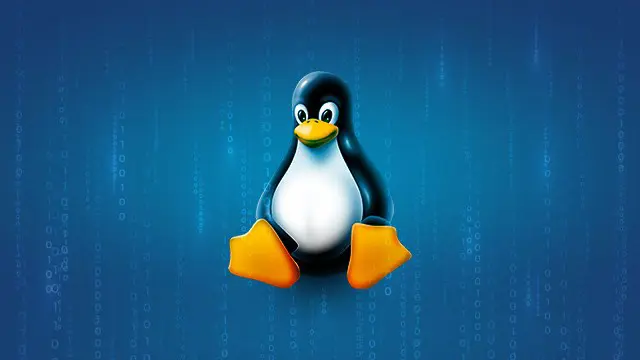 Linux Essentials for Beginners