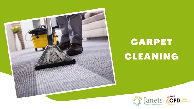 Carpet Cleaning: Professional Carpet Cleaner