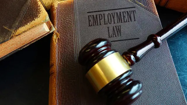 Employment Law: UK Employment Law For HR Diploma