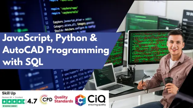 JavaScript, Python and AutoCAD Programming with SQL - CPD Accredited Diploma