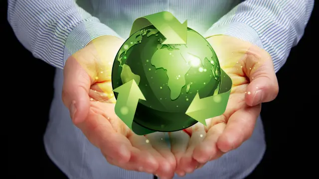 Environmental Conservation, Management and Sustainable Development