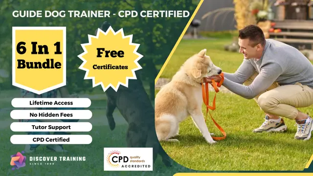 Guide Dog Trainer - CPD Certified