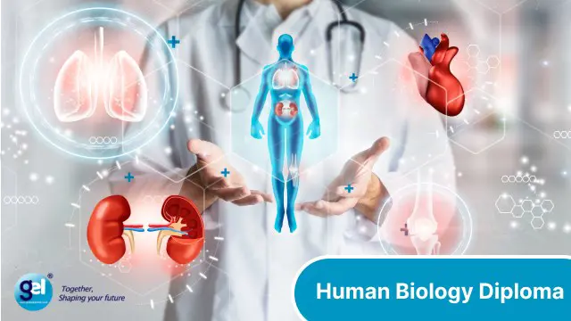Human Biology Diploma