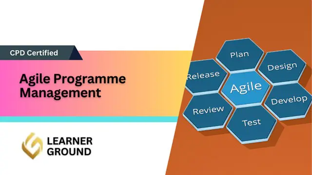 Agile Programme Management (APM)
