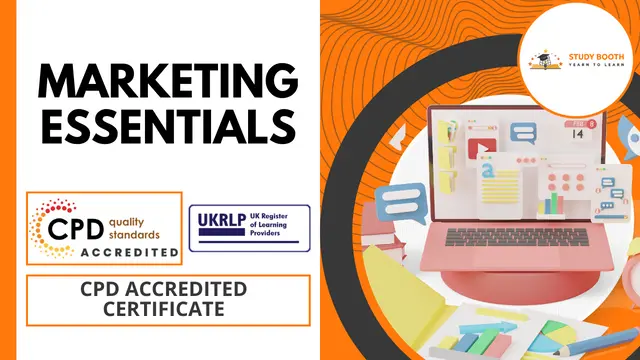 Marketing Essentials: Strategies for Successful Campaigns