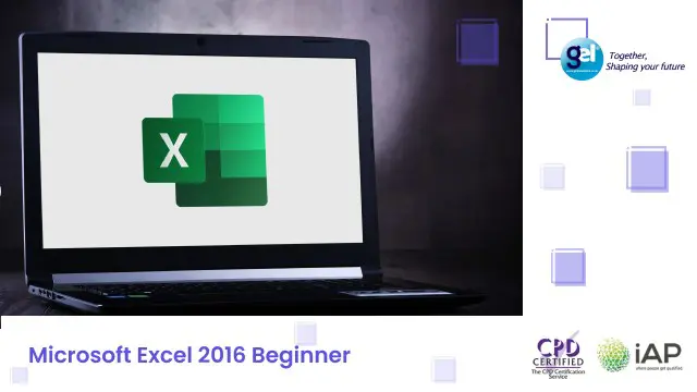 Microsoft Excel 2016 Beginner