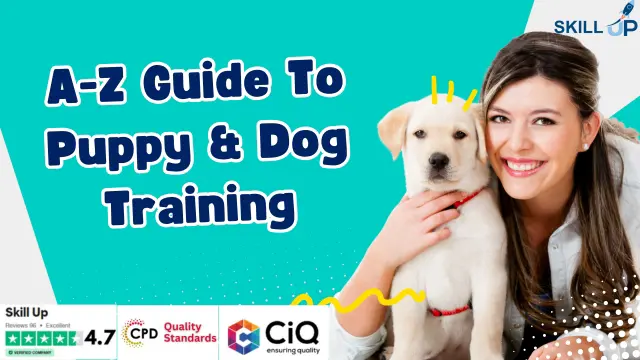 Dog Training Diploma Bundle: A-Z Guide To Puppy & Dog Training - CPD Accredited