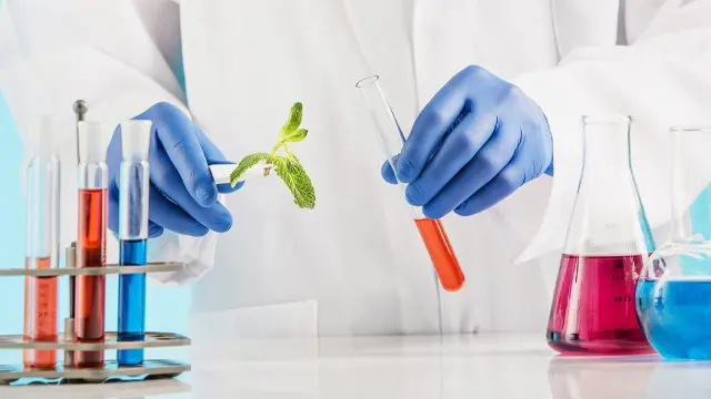 Biotechnology Essentials