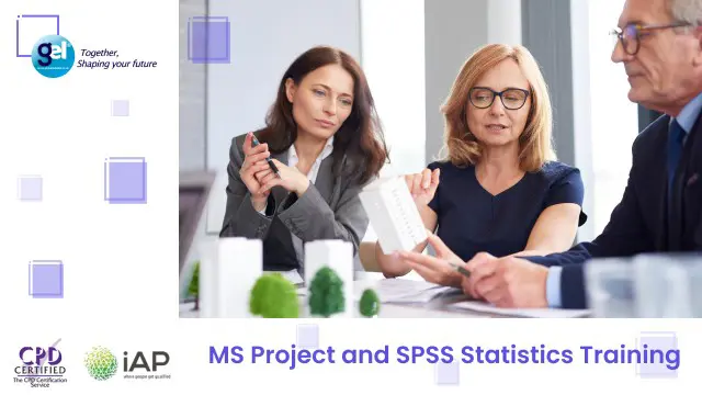 MS Project and SPSS Statistics Training