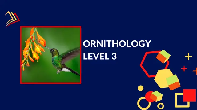 Ornithology Level 3 Course