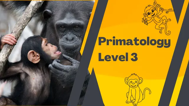 Primatology Level 3 Course