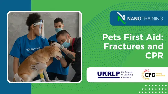 Pets First Aid: Fractures and CPR