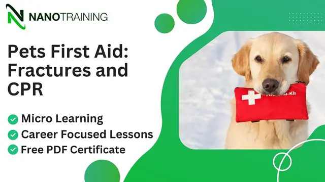 Pets First Aid: Fractures and CPR